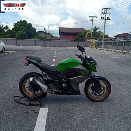 Z300